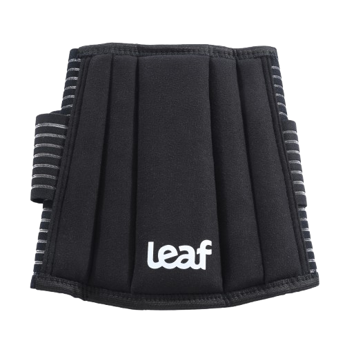Leaf Ortho Elite Posture Pain Relief Belt.